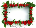 frame_09 (1,5x1)